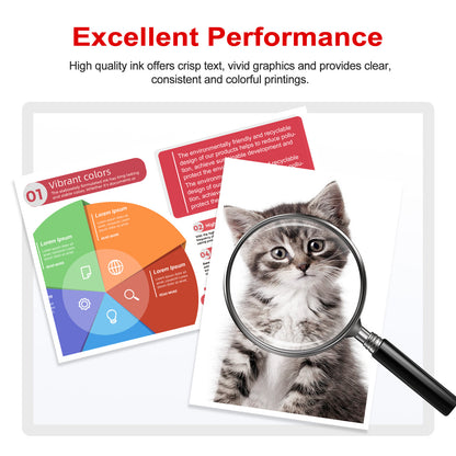 ANKINK Compatible Canon 250XL 251XL Black Color Combo Pack Ink Cartridges 10 PACK